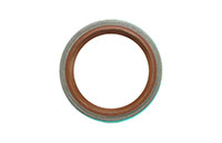 Budgit Oil Seal (10376276 (E-14))